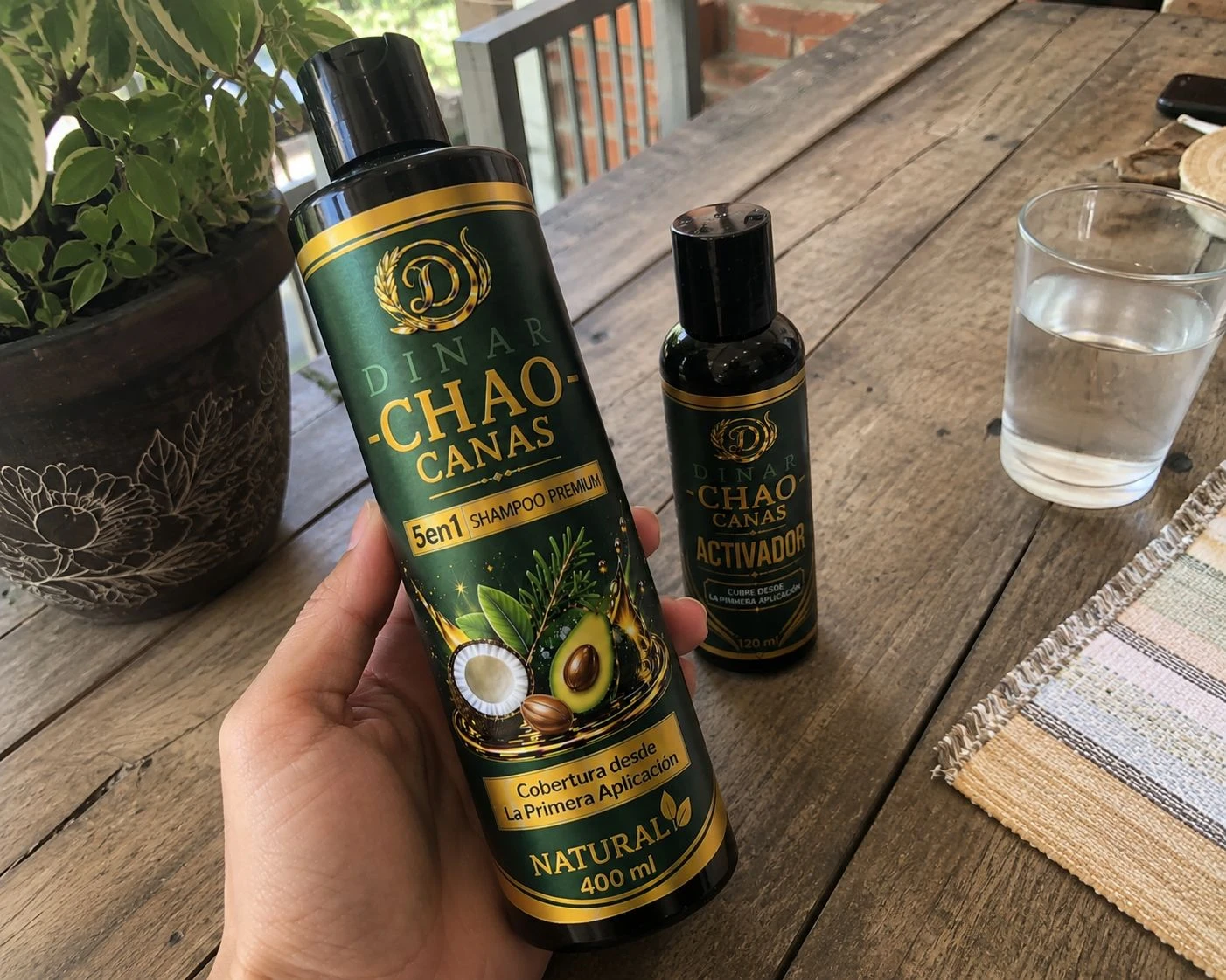 Botella de champú Chao Canas 5 en 1 con extracto de romero, color verde oscuro, etiqueta dorada y detalles de coco y aguacate, junto a un frasco más pequeño de activador, sobre mesa de madera con vaso de agua y planta al fondo.