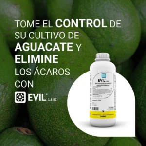 Bote blanco de insecticida Evil 1.8 EC con etiqueta amarilla, sobre fondo de aguacates verdes.