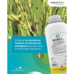 Borey SC Insecticida Sistémico de Contacto - Protege cultivos de arroz algodón y papa contra plagas - Imagen 4