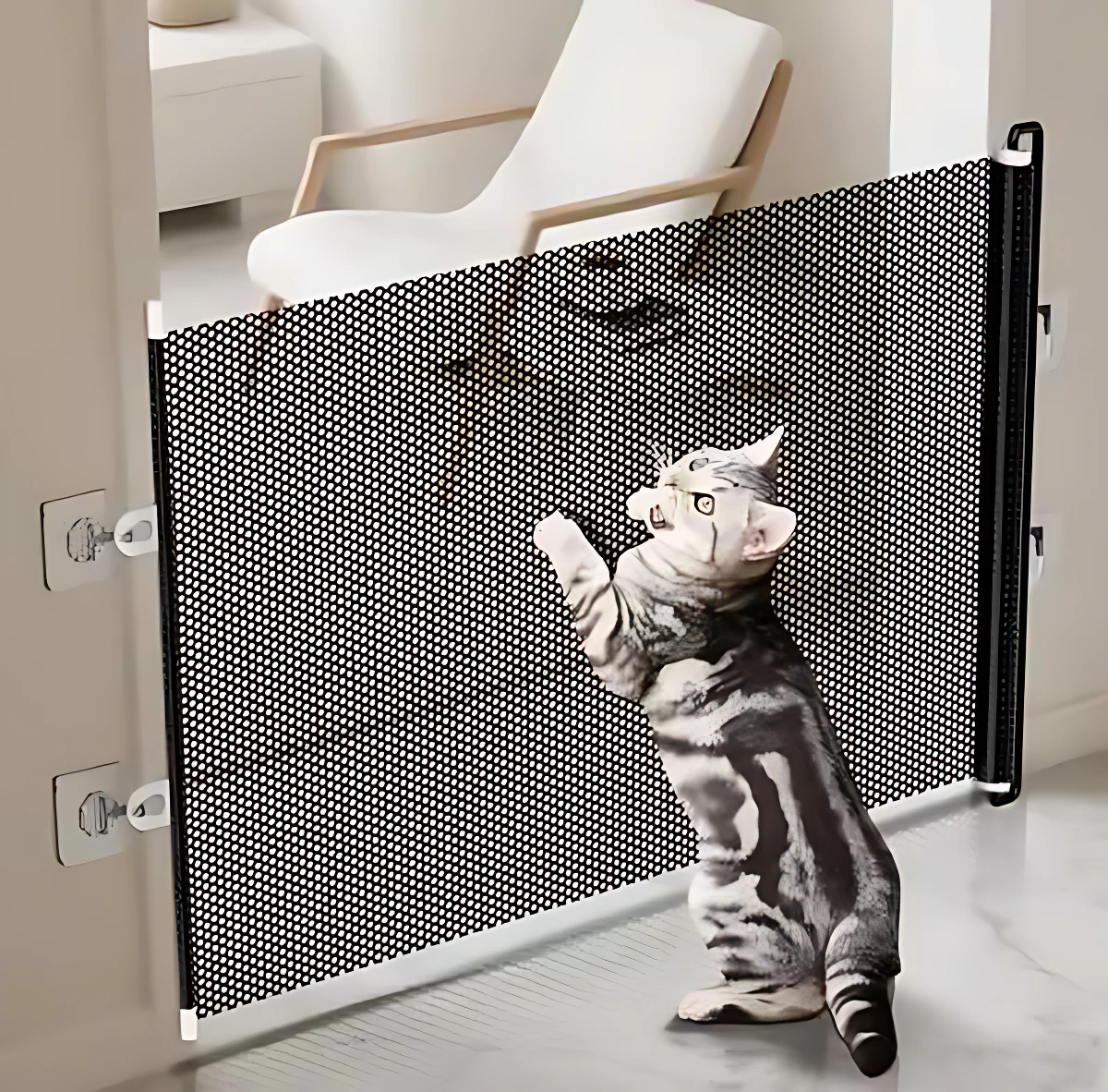 Malla retráctil negra con patrón de puntos, instalada en puerta interior; gato atigrado la observa desde abajo.