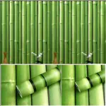 Papel adhesivo decorativo con patrón de bambú verde, textura natural y detalles de nudos visibles; incluye muestra de aplicación en pared interior.