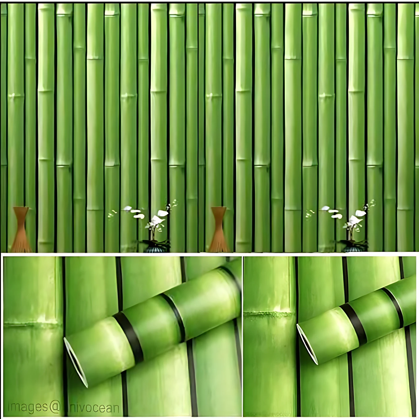 Papel adhesivo decorativo con patrón de bambú verde, textura natural y detalles de nudos visibles; incluye muestra de aplicación en pared interior.