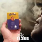 Mano sosteniendo caja de cartucho Big Chief sabor Sour Diesel en tonos amarillo y morado, con persona exhalando vapor al fondo.
