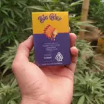 Caja de cartucho Big Chief Sour Tangie con diseño amarillo y morado, sostenida por una mano frente a plantas de cannabis.
