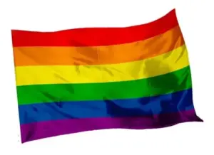 Set x2 Bandera LGBT 150x90 cm del orgullo gay con dobladillo para asta - Expresa tu identidad y decora espacios con visibilidad comunitaria