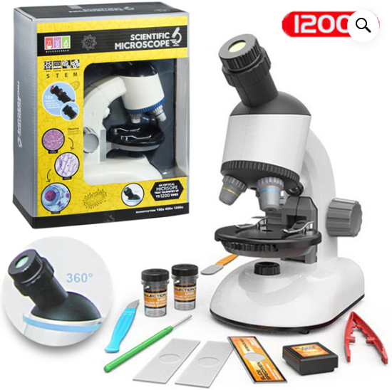 Microscopio Scientific Pro