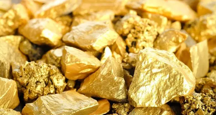 Pepitas de oro natural brillante y de textura irregular amontonadas en primer plano.