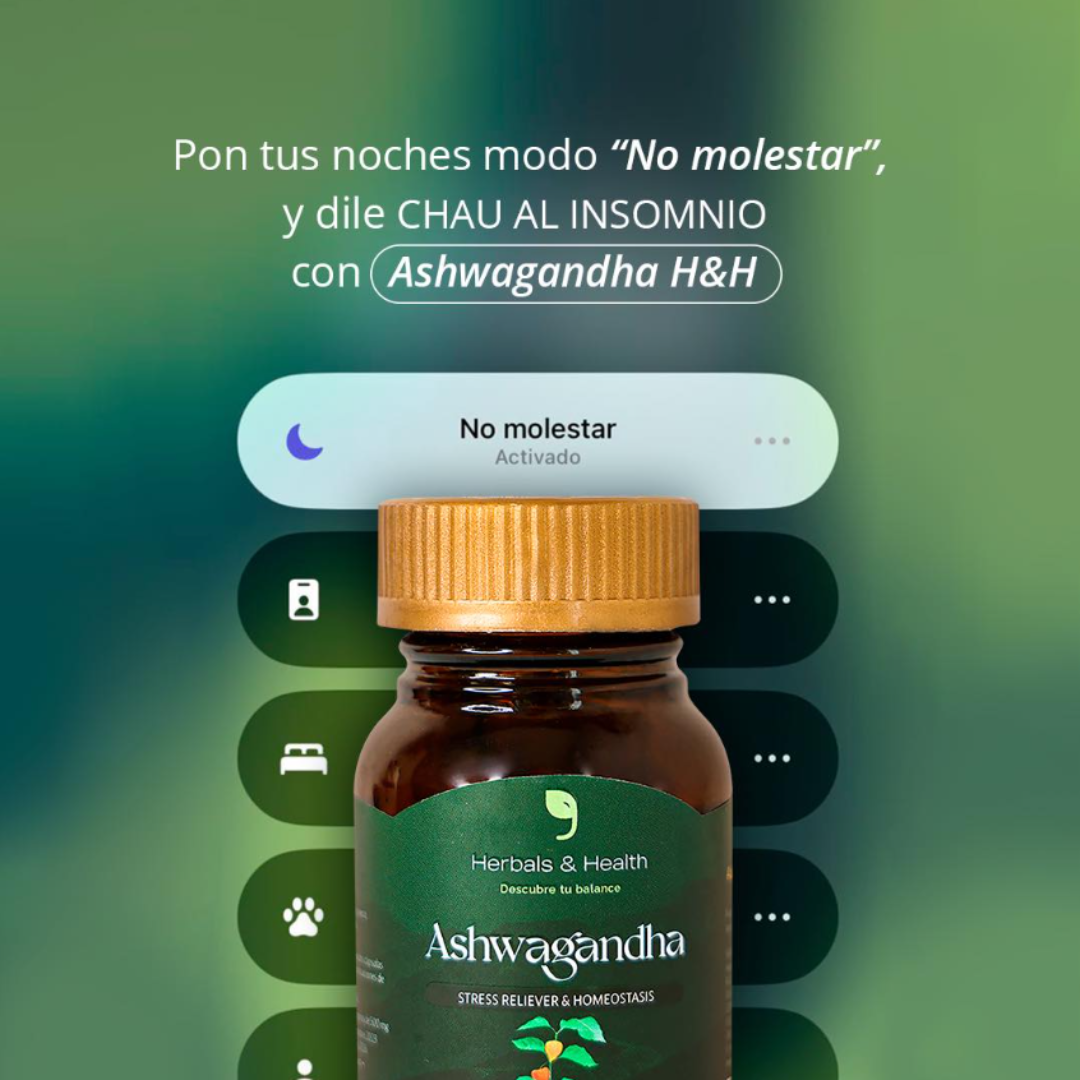 Ashwagandha - Imagen 4