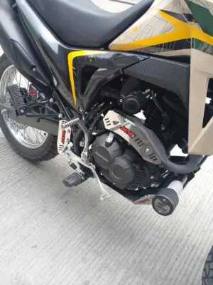 Protector de mofle para motocicleta en acero inoxidable - Protege el escape contra impactos y mejora la estética
