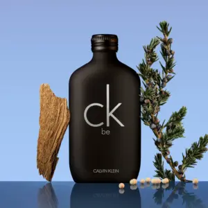 Frasco negro mate de perfume Calvin Klein CK Be con letras plateadas, acompañado de madera y ramas con bayas sobre fondo azul.
