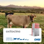 Caja de oxitocina Over, hormona inyectable veterinaria multiespecie, sobre fondo de vaca en pastizal con montañas al atardecer.