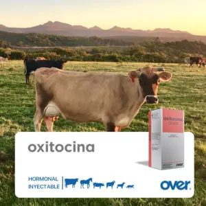 Set x2 Oxitocina Over inyectable veterinaria multiespecie - Facilita el parto y la eyección láctea
