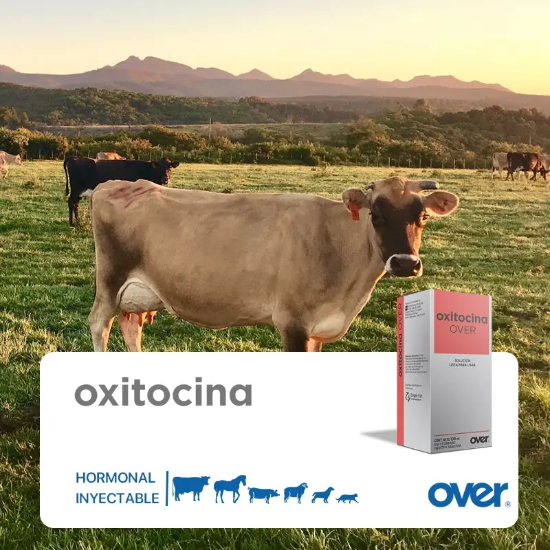 Set x2 Oxitocina Over inyectable veterinaria multiespecie - Facilita el parto y la eyección láctea