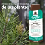 Bioestimulante OptiMar de 1 litro para aplicación foliar junto a una rama de pino con brotes nuevos, para incrementar la fotosíntesis.
