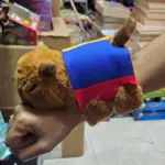 Manilla de peluche de capibara café con banda tricolor de la bandera de Colombia en amarillo, azul y rojo, sostenida por una mano.