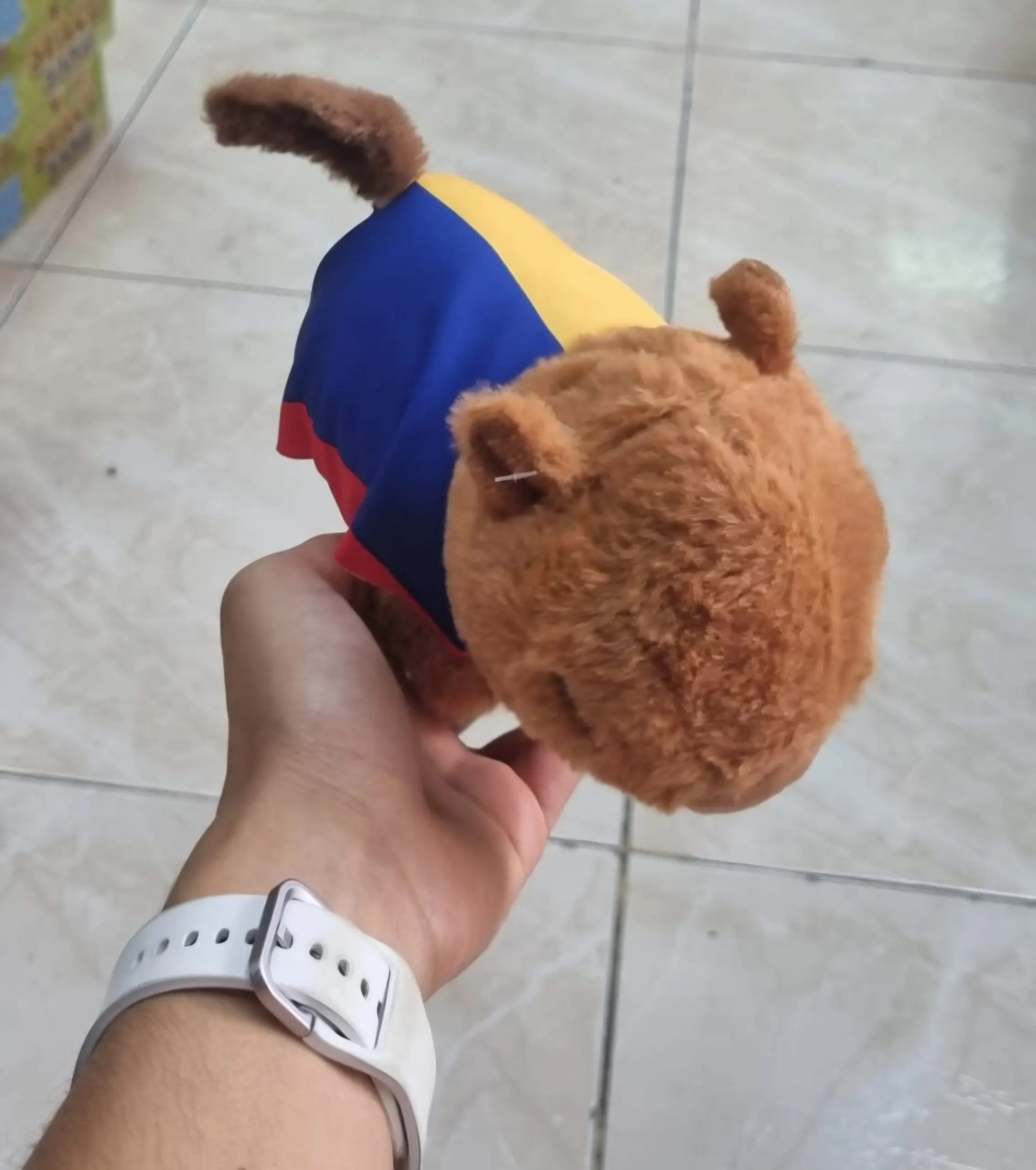 Peluche de capibara café con textura suave y prenda tricolor azul, amarilla y roja, sostenido por una mano con reloj blanco.