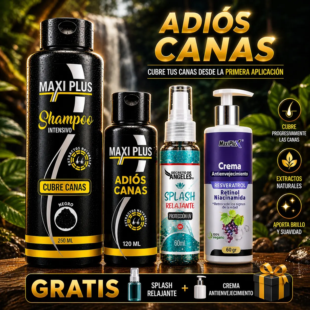 Envase del shampoo cubre canas Maxiplus