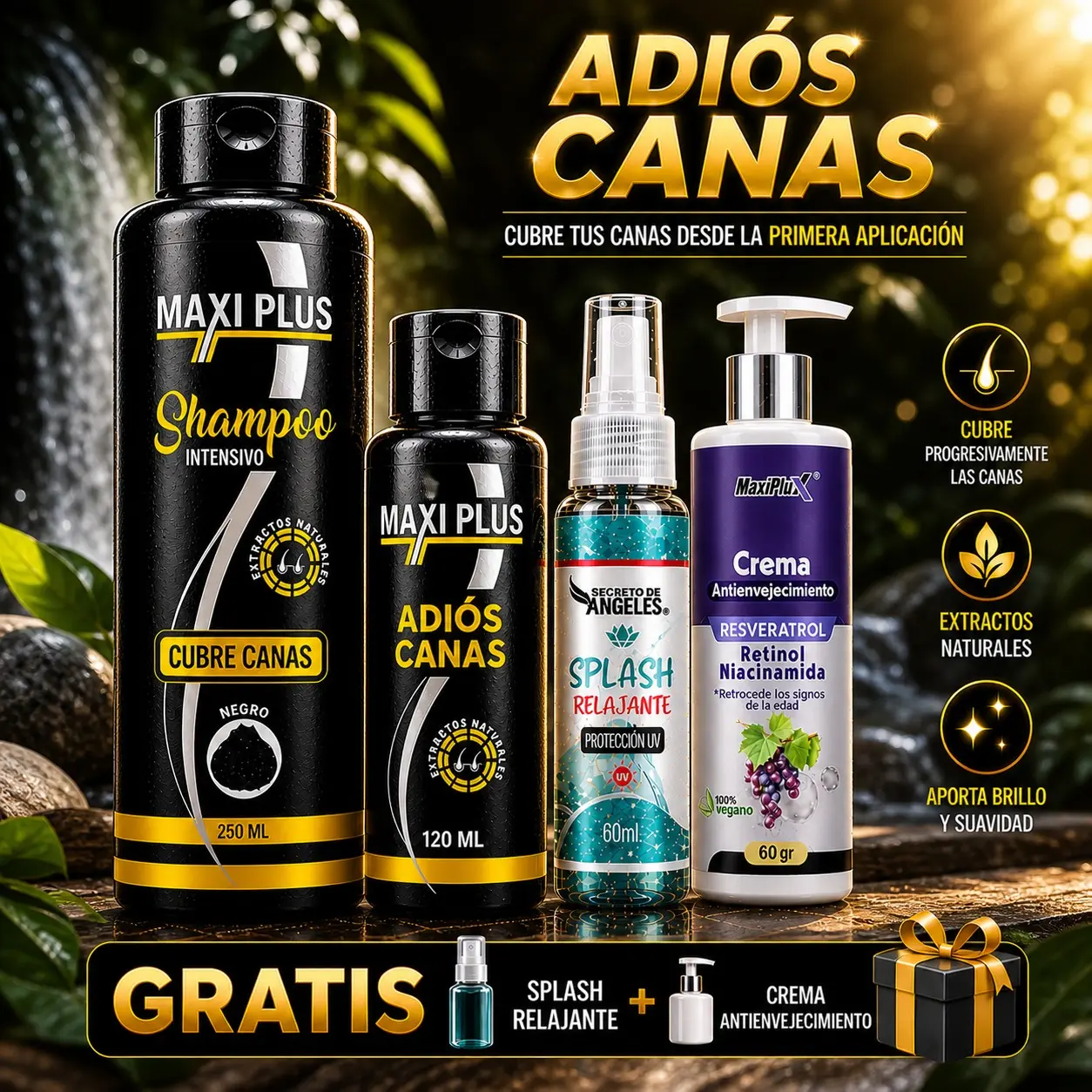 Set completo de shampoo cubre canas Maxiplus con sus obsequios