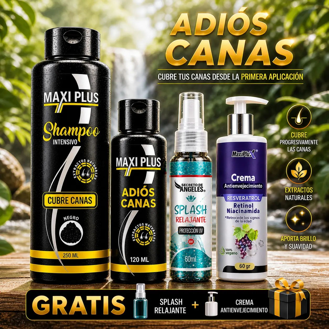 Set x2 shampoo cubre canas Maxiplus con obsequios incluidos