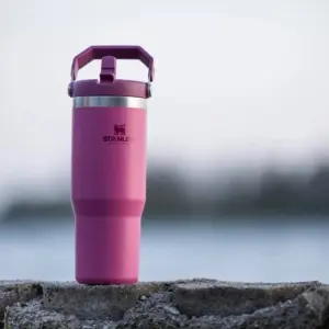 Termo Stanley 30 Oz