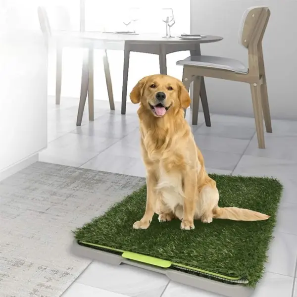 Tapete de Entrenamiento Potty Patch con Pasto Sintetico y Bandeja - Para Perros