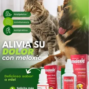 Meloxic 0.15% Sabor Miel