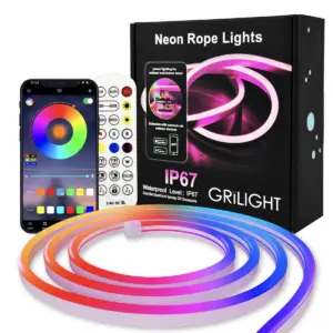 Tira de luz LED neón RGB de 10 metros con control remoto y empaque