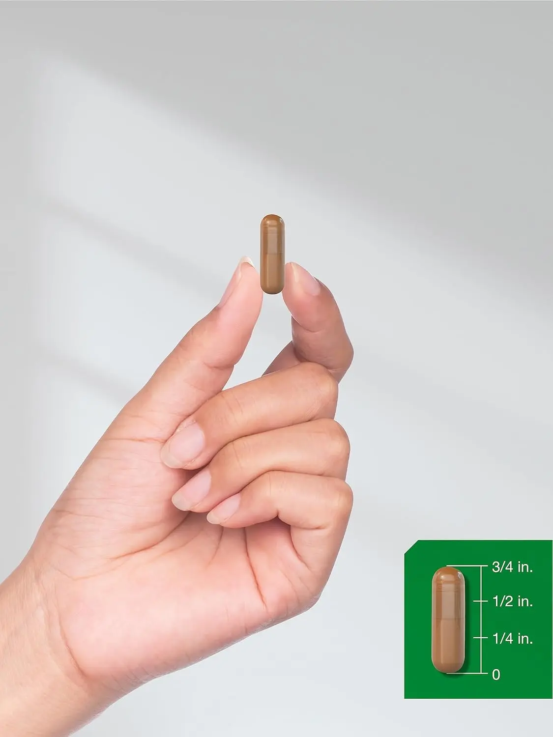 Cápsula marrón translúcida de suplemento de hongos adaptógenos Horbaach, de tres cuartos de pulgada de largo, sostenida con dos dedos junto a una escala de medición verde.