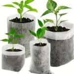Bolsas de vivero biodegradables de tela no tejida en cuatro tamaños con plántulas verdes creciendo en sustrato oscuro.
