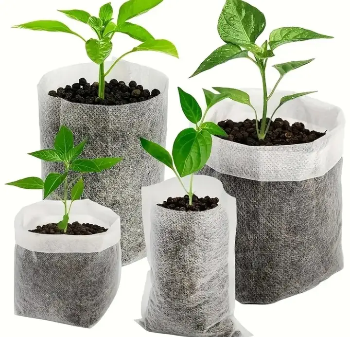 Bolsas de vivero biodegradables de tela no tejida en cuatro tamaños con plántulas verdes creciendo en sustrato oscuro.