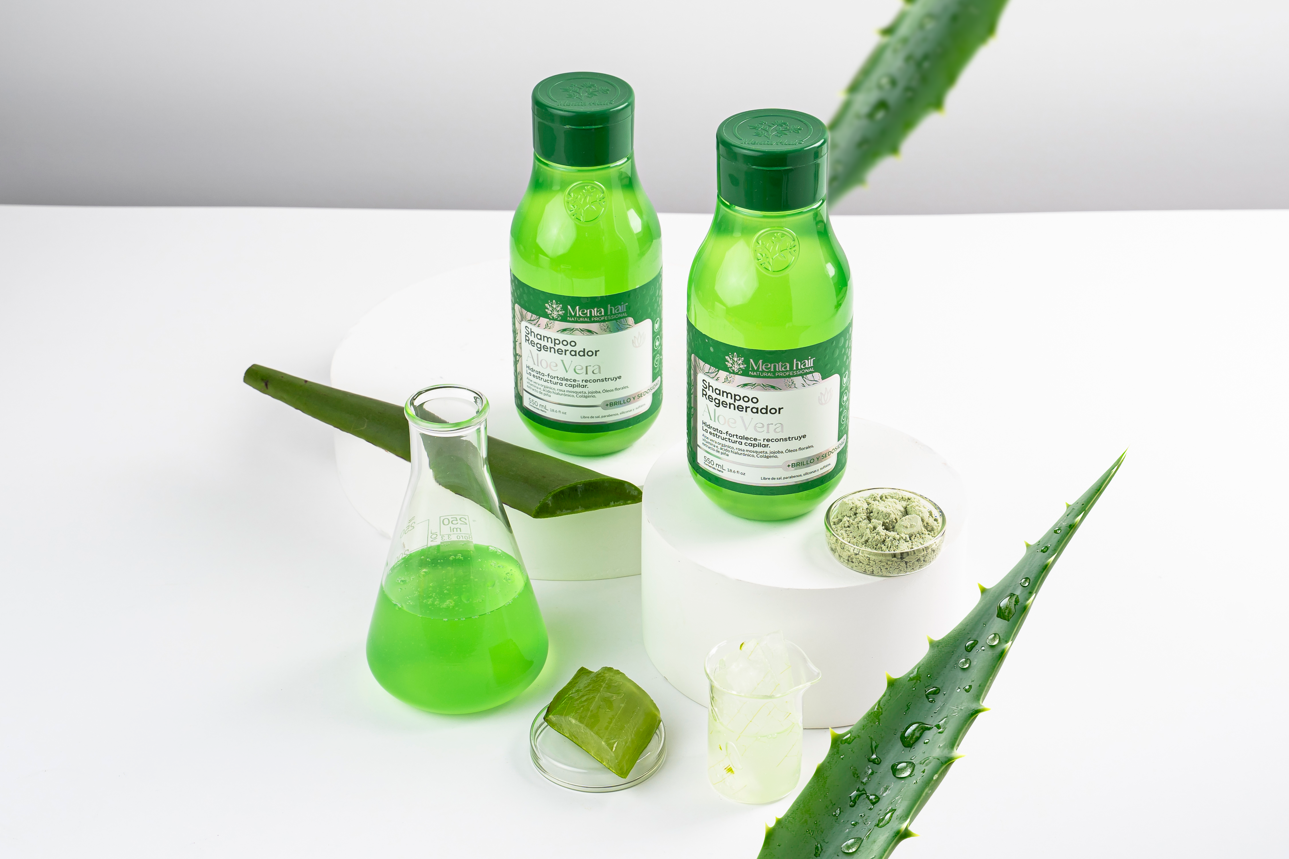 Shampoo Regenerador Aloe Vera X550Ml