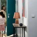 Parlante inalámbrico bluetooth portátil negro en mesa de madera junto a lámpara terracota y termostato en la pared.