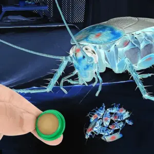 Cebo Cucarachas Control Plagas