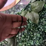 Pulseras Elegantes y Versátiles