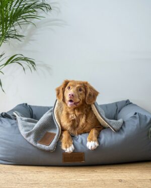 Perro recostado en una cama para mascotas