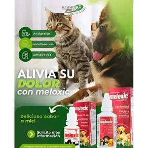 Meloxic 015% Suspensión Oral Meloxicam Sabor Miel Perros y Gatos - alivia el dolor y la inflamación