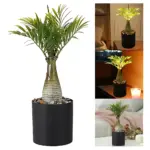 Planta Decorativa Artificial con Luces LED y Maceta - Ilumina tu Espacio sin Esfuerzo