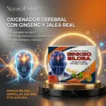 Caja de Ginkgo Biloba en ampollas x24 con ginseng y jalea real sobre base circular, con la de un cerebro brillante y tonos naranjas y azules.