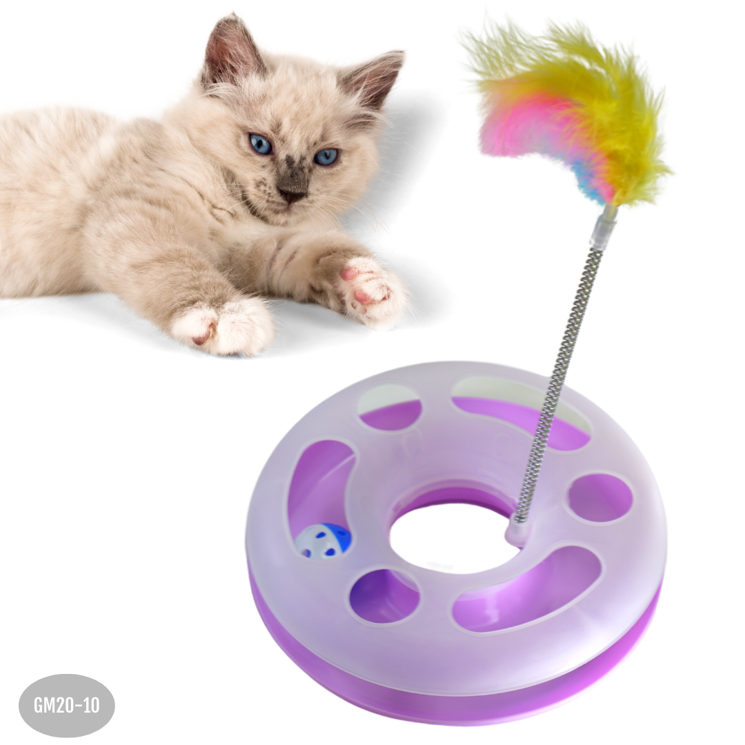 Gatito lila claro jugando junto a pista circular interactiva de plástico con bola y varita de plumas multicolor en resorte.