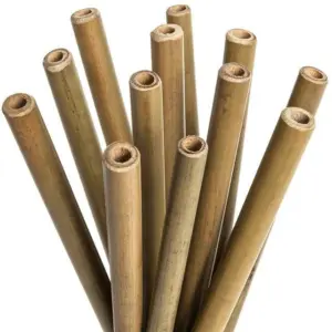 Pitillo de Bambú Ecológico Reutilizable Paqx10Unds - Disfrutas tus bebidas favoritas sin generar residuos plasticos