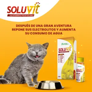 Set x4 Soluvit Suplemento Polivitamínico e Hidratante para Perros y Gatos - Repone electrolitos y previene la deshidratación en climas cálidos