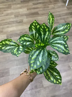 Set x4 Planta artificial decorativa de hoja verde redonda para interiores - Renueva tus espacios sin necesidad de riego ni luz solar
