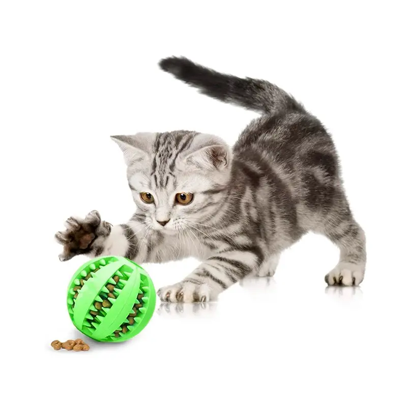 Gatito gris atigrado jugando con una pelota verde de caucho con ranuras para snacks que ayudan a la higiene dental y reducen la ansiedad.