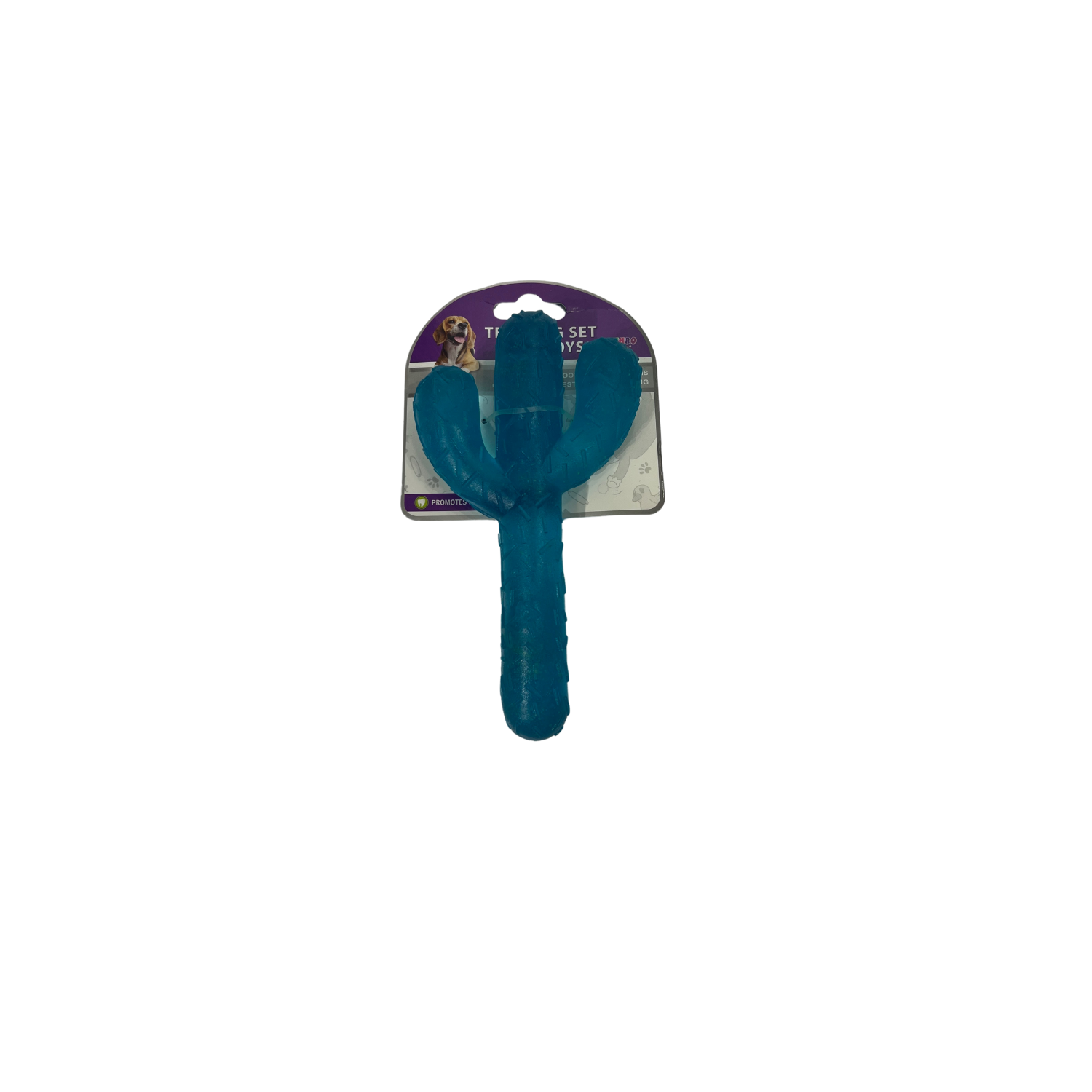 Juguete Duro en Forma de Cactus Jd59 - Imagen 2
