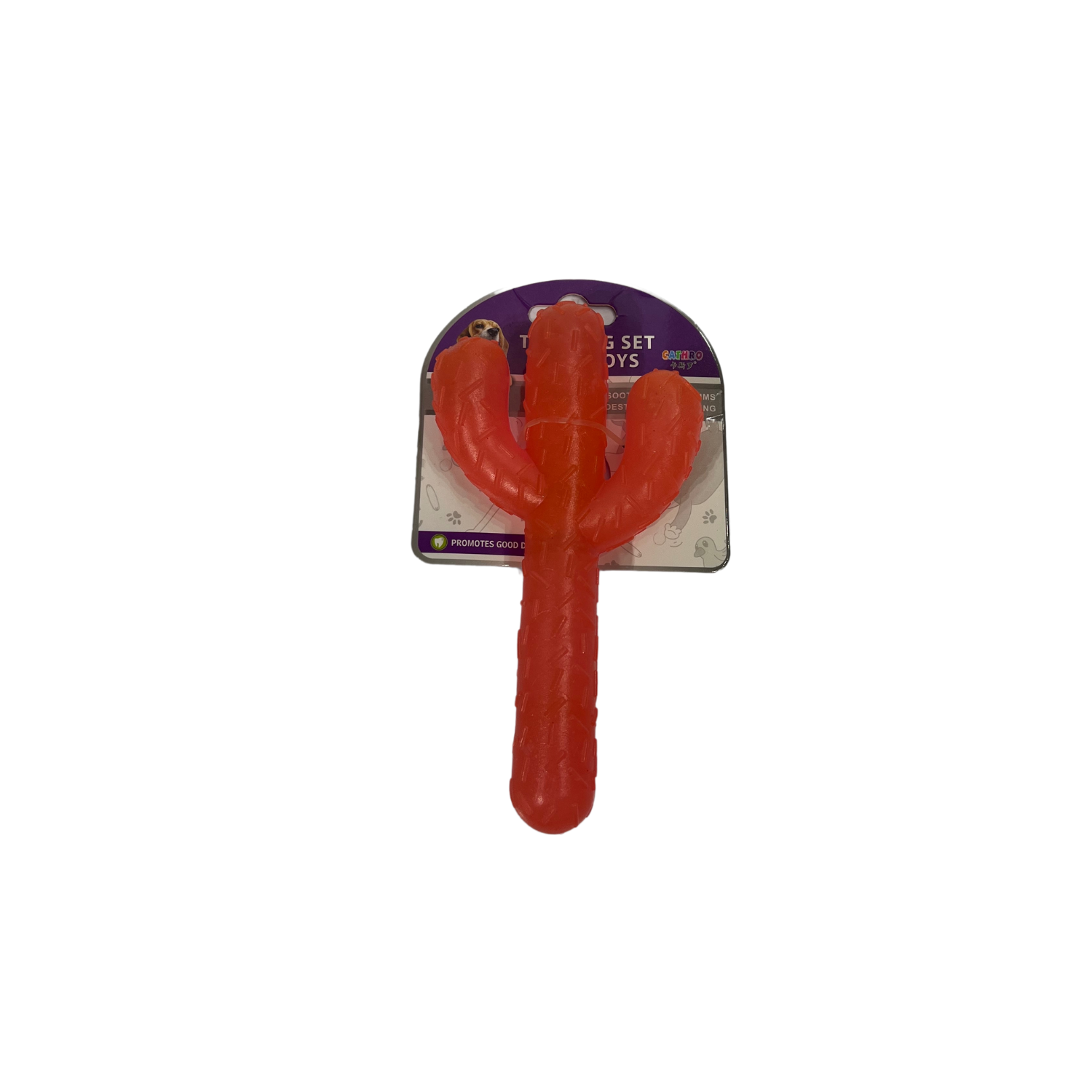 Juguete Duro en Forma de Cactus Jd59 - Imagen 3