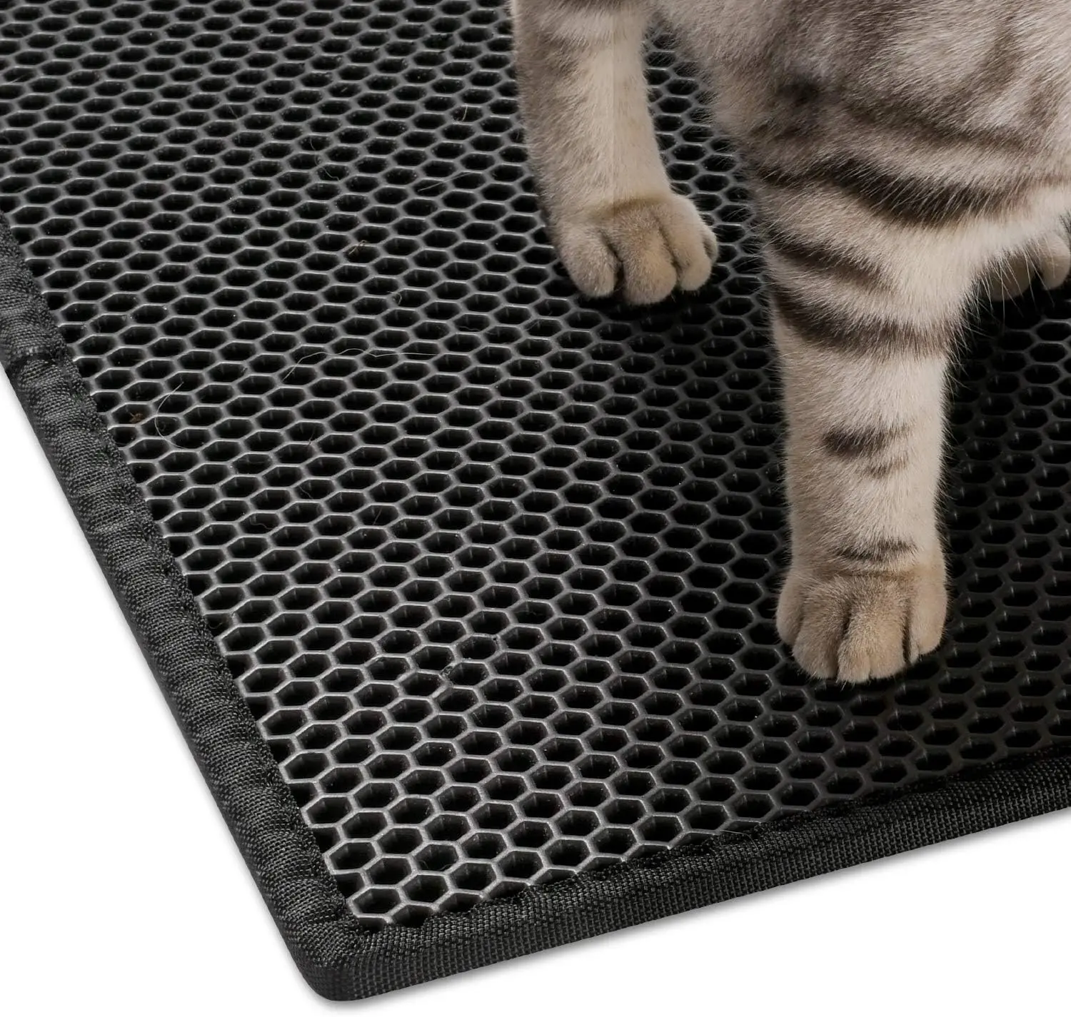 Tapete arenero para gato de doble capa con textura de panal en goma EVA negra, con un gato de pie sobre su superficie.
