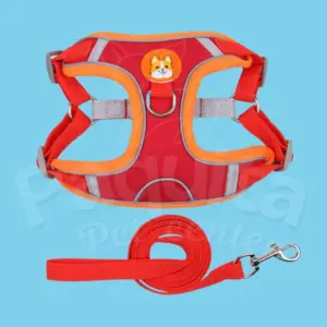 Pechera acolchada para perro con bandas reflectivas y correa - Protege su piel y mejora la visibilidad nocturna