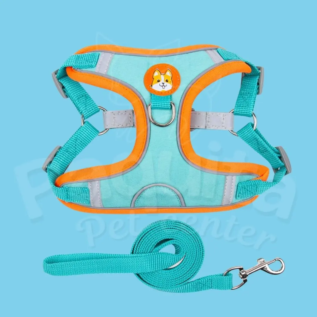 Pechera turquesa acolchada con bordes naranjas y bandas reflectivas, incluye correa a juego y logotipo con perrito.