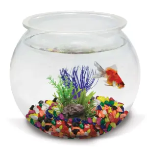 Set x2 Piedra decorativa natural segura para plantas y acuarios - Embellece tus espacios manteniendo la calidad del agua intacta