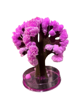 Set x2 Kit de cultivo Árbol Mágico Sakura de cristales - Observa cómo florece un jardín miniatura relajante